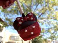 🎢【アメリカ・カリフォルニア ディズニーランド】夢と魔法の本場で、まるごと体験する冒険の1日