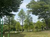 도심 속 자연 힐링 공간, ‘해운대 수목원’ 리뷰 🌳🌼
