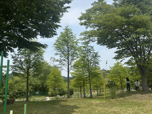 도심 속 자연 힐링 공간, ‘해운대 수목원’ 리뷰 🌳🌼