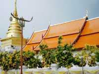 💛 แจกพิกัดถ่ายรูปเล่นในเมืองน่าน