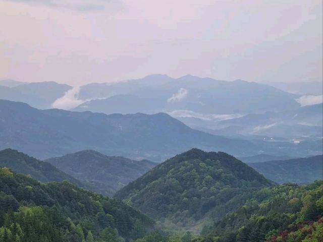 Lost in Nature (and Loving It) at Jirisan Odojae