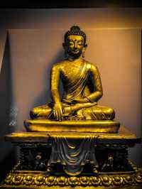 Patan museum art of mall era and architecture 
