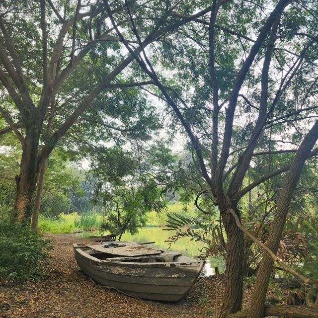 Soak in Nature at Whispering Cafe