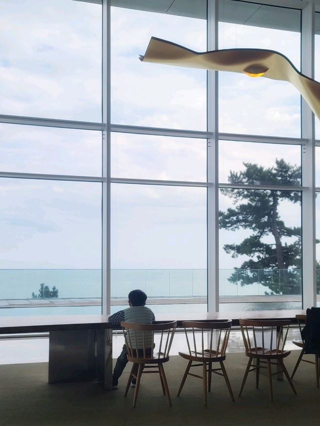 바다 전망의 모던 느낌💙씨마크로비 라운지 카페
