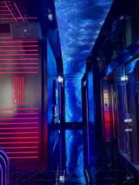 Let's enjoy the futuristic Luxury KTV experience here❤️