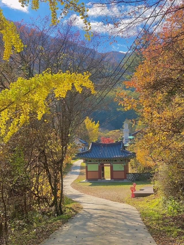 Peaceful Peaks & Forest Feels