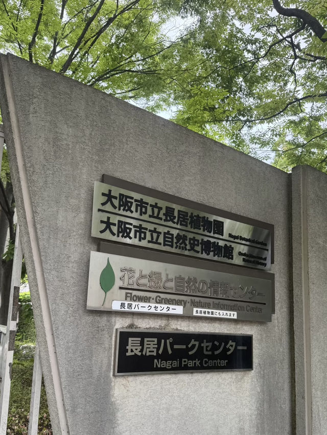 A Deep Exploration of Nature – My Visit to the Osaka Museum of Natural History 🦕