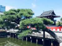 The Shitennō-ji