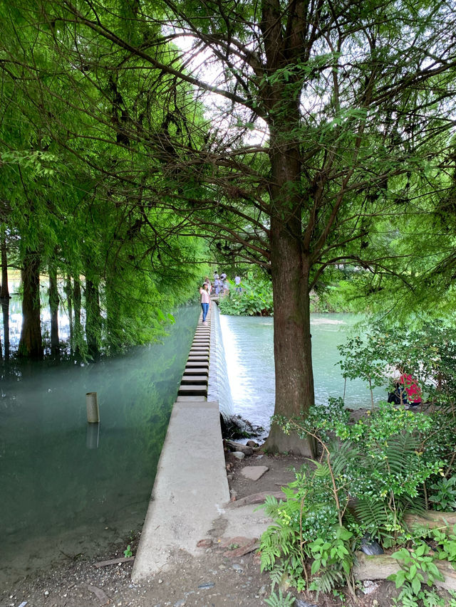 花蓮 隱世美景 雲水間