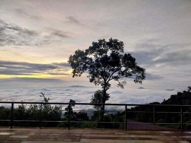雲海の中で迎える朝、まるで夢の世界。🌄✨