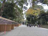 ⛩️ Shrine Among the Trees: Meiji Jingu’s Beauty Meets Tokyo’s Buzz 🌲