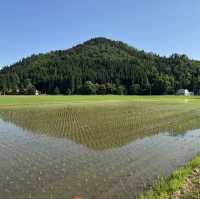 日本東北之旅@重新出發