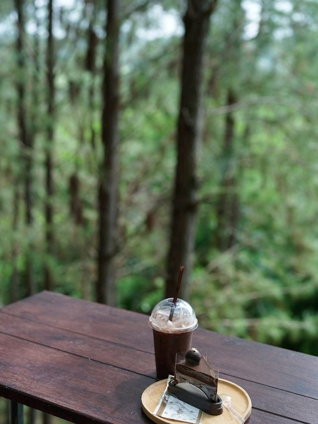 Cedar ป่าสน cafe