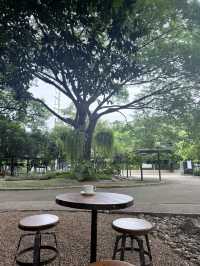 📍VP Coffee คาเฟ่ลับในสวนสาธารณะกลางเมือง