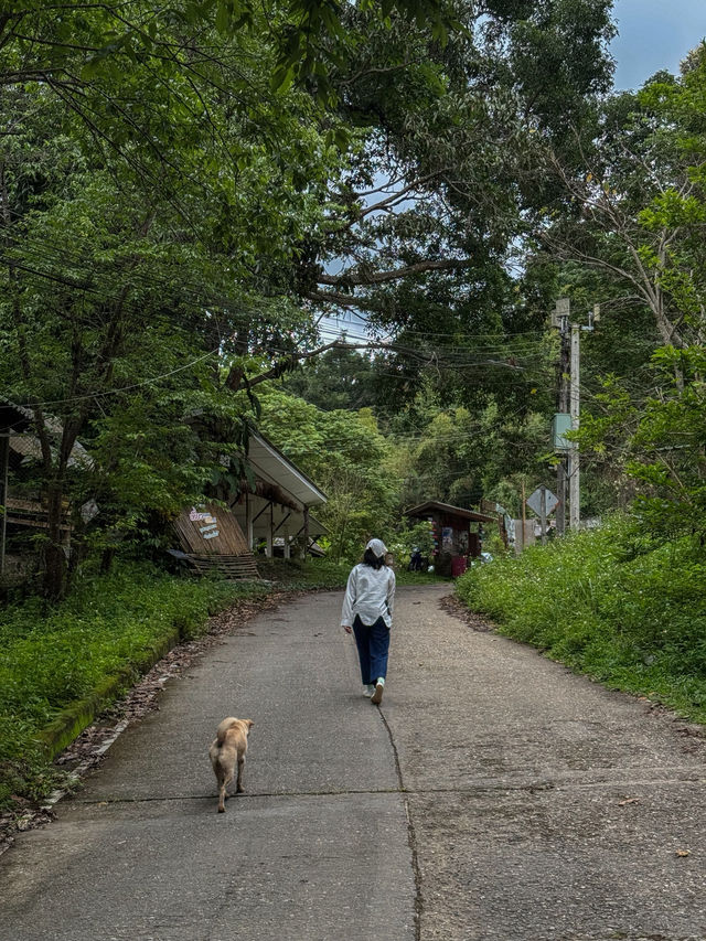 ฤดูฝนที่บ้านป่าเหมี้ยง จ.ลำปาง 🏡⛰️🌧️🌳