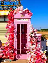 Fairytale Flower Town