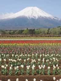【山中湖 花の都公園で花と富士山に包まれる絶景旅🌸🗻】四季の彩りと癒しの時間を満喫✨