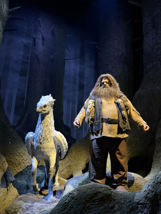 Must-Go for all Potterheads!