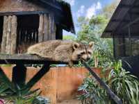 Zoo Melaka, Best For Family ❤️