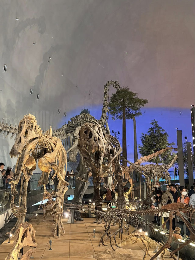 【福井県立恐竜博物館で太古の世界へ】子どもも大人も夢中になる恐竜旅🦖🌍