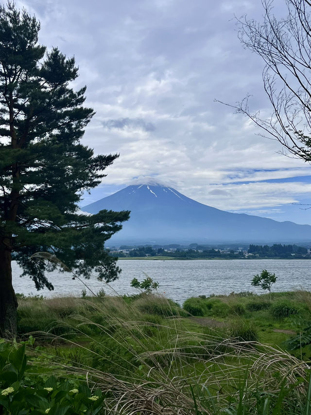 คาวากุจิโกะ~ฟูจิในฤดูร้อน ☀️🌤️🗻🇯🇵