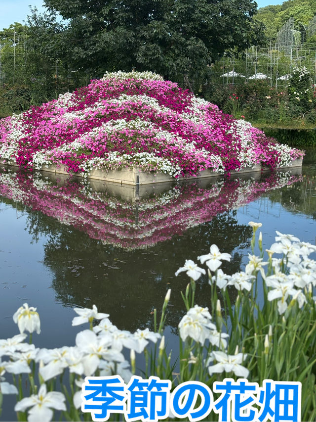 花に癒される！季節の花畑͛💠有名な観光地は？