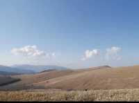 🌾長野・霧ヶ峰高原｜四季折々の花々と爽やかな高原風が魅力の癒しスポット