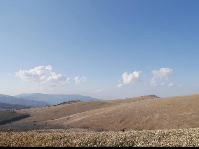 🌾長野・霧ヶ峰高原｜四季折々の花々と爽やかな高原風が魅力の癒しスポット