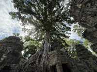 Discovering the wonders of Siem Reap (4D3N)