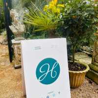 HLNG Cafe (หลง คาเฟ่) – คาเฟ่สวนอังกฤษสุดเพอร์เฟกต์
