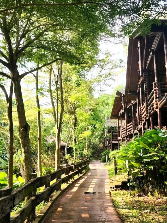 🌿✨ Philea Resort & Spa Melaka – Where Nature Meets Comfort! 🏡🌳