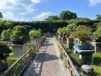 🌸 Lingering Garden 留园 — Grace, Balance & Jiangnan Beauty