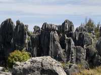 Must Visit - Magical Sone Forest Yunnan , UNESCO site 
