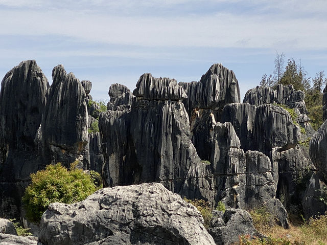 Must Visit - Magical Sone Forest Yunnan , UNESCO site 