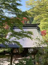 【紅葉と祈りの絶景🍂天開山泰運寺で心を整える旅】