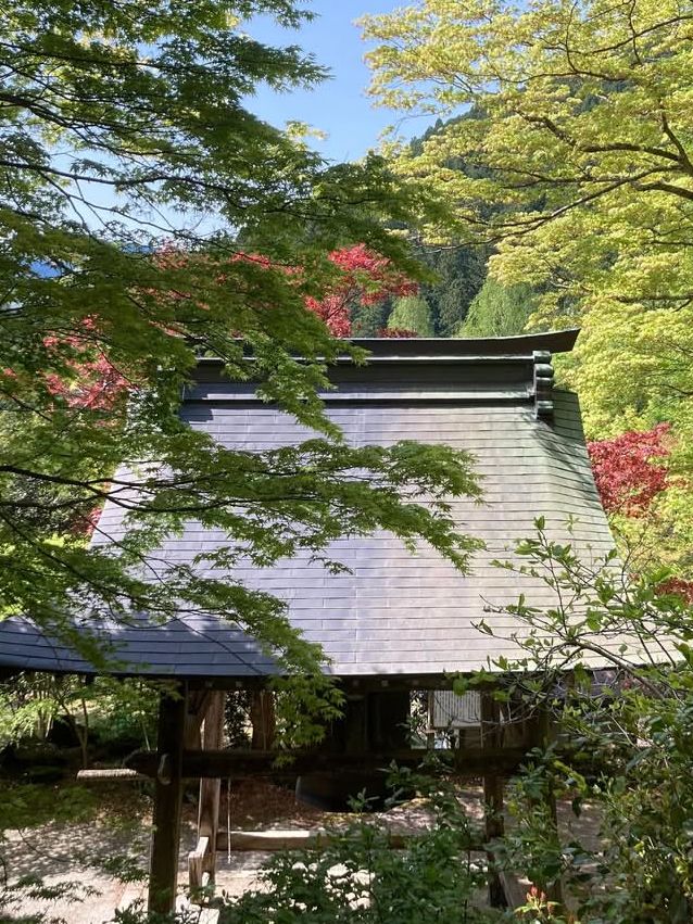 【紅葉と祈りの絶景🍂天開山泰運寺で心を整える旅】