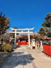 【京都】願いが届く神社！？芸能人も通う京都の最強パワースポット⛩✨