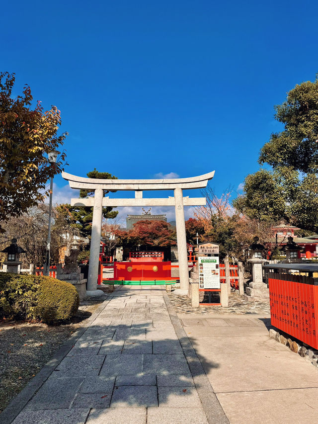 【京都】願いが届く神社！？芸能人も通う京都の最強パワースポット⛩✨