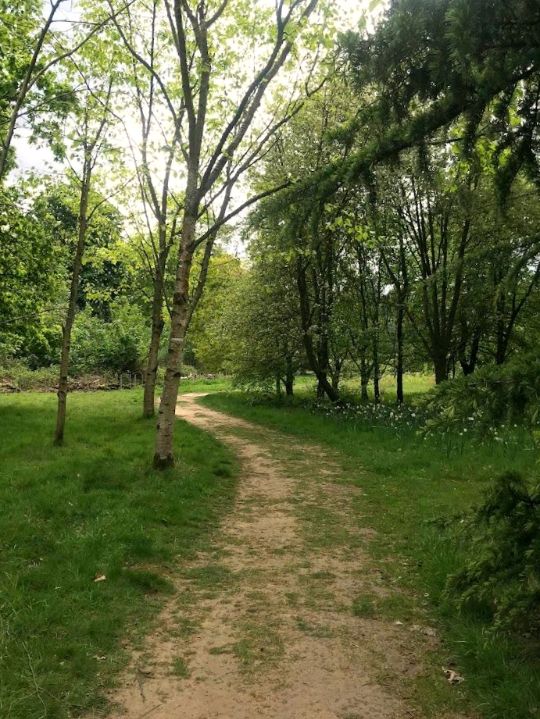 Harris Garden