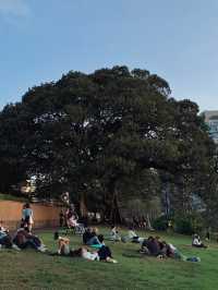 호주 가볼만한 곳 🇦🇺❤️🐨