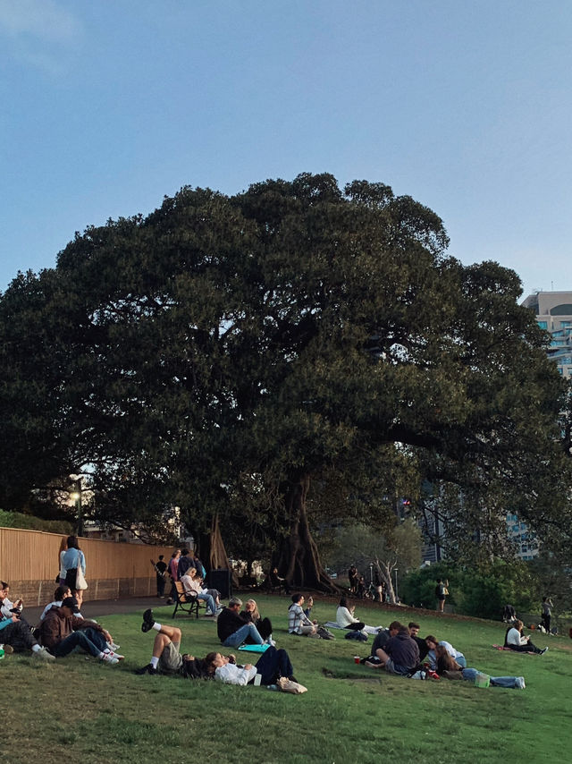 호주 가볼만한 곳 🇦🇺❤️🐨