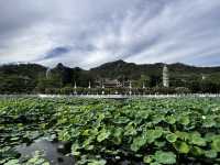 Nanputuo Temple’s Water Lily Garden: Where Buddha Meets Blooms (And Your Soul Finds Zen)"** 🌸🏯  