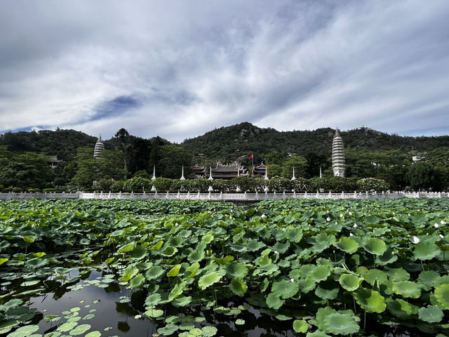 Nanputuo Temple’s Water Lily Garden: Where Buddha Meets Blooms (And Your Soul Finds Zen)"** 🌸🏯  