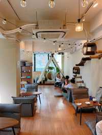 隱世高質貓cafe❤️