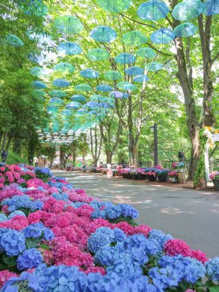 Saitama: Moomin Valley and Umbrellas