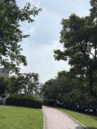 みなとみらいの癒しスポット🌳公園の中のビューポイントでのんびりしよう✨