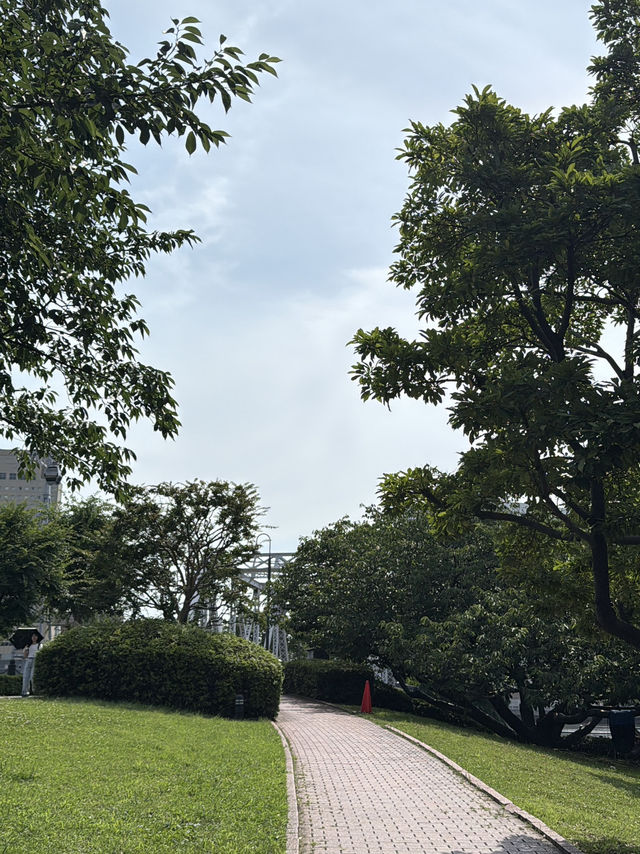 みなとみらいの癒しスポット🌳公園の中のビューポイントでのんびりしよう✨