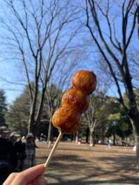 🇯🇵 Yoyogi Park 