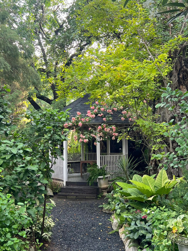 คาเฟ่ในสวนสวยสไตล์อังกฤษ • 🧺🥐☕️🌿🍂