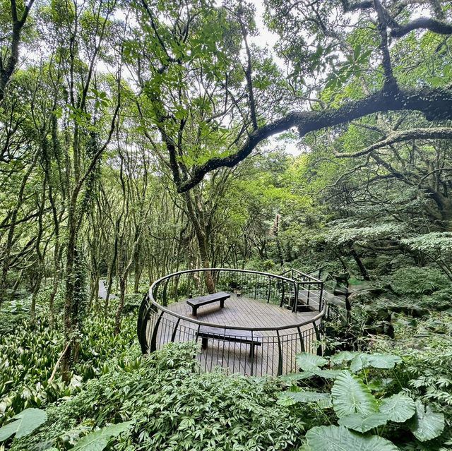 頂湖社區-草山瀑布-猴崁水圳步道-竹子湖歡樂行